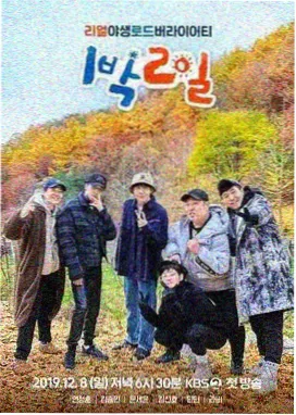 热播电视剧推荐